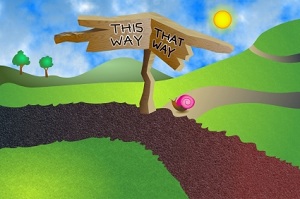 this-way-that-way