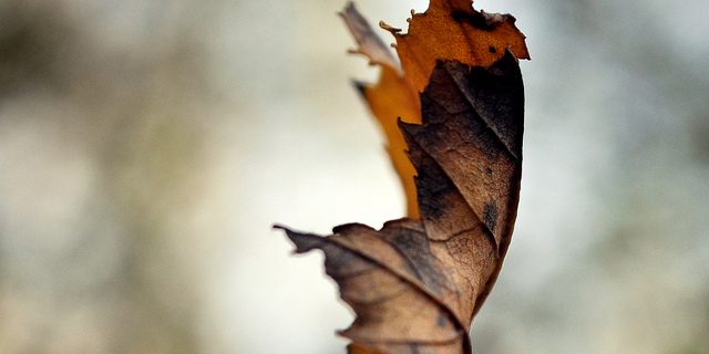 5108323683_5c516967ec_z