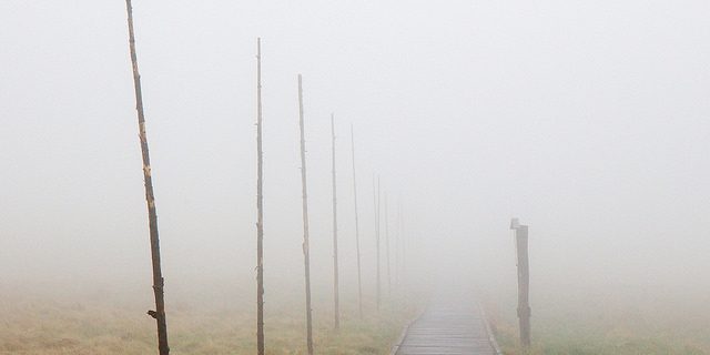 14200183801_1f5a8a4506_z